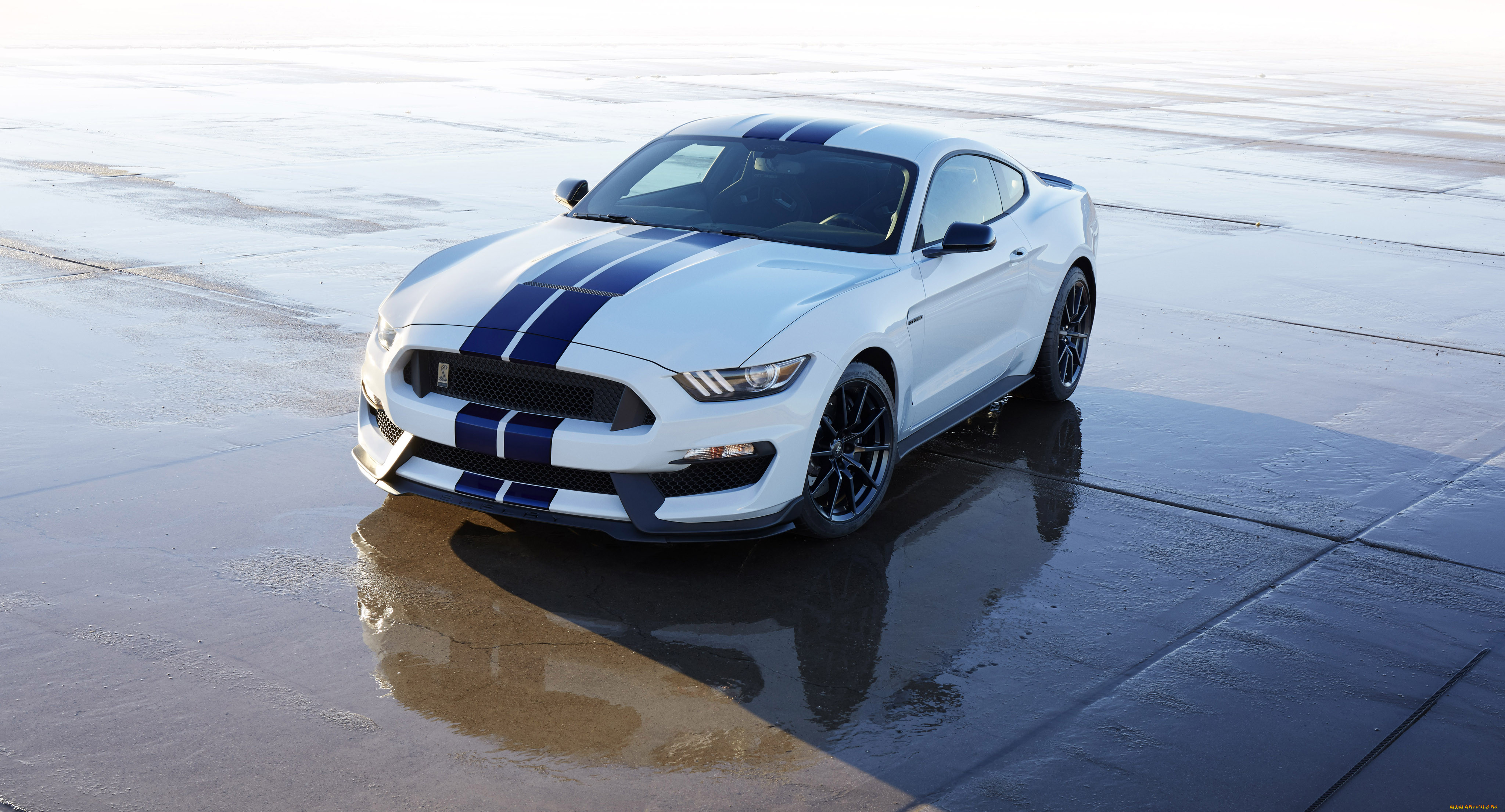 , mustang, 2015, shelby, gt350, 